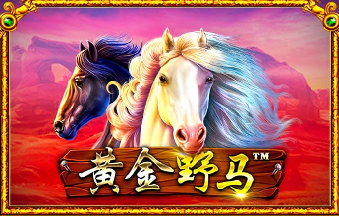 亚美app